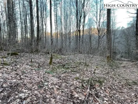 Unrestricted Land Near Beech Mountain