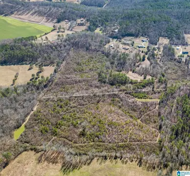 38 Acres Unrestricted Land