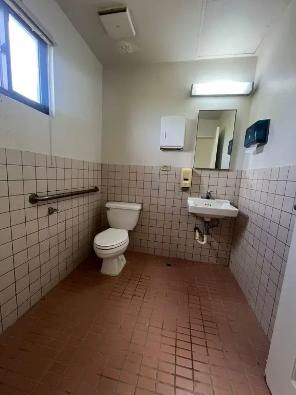 Picture 5