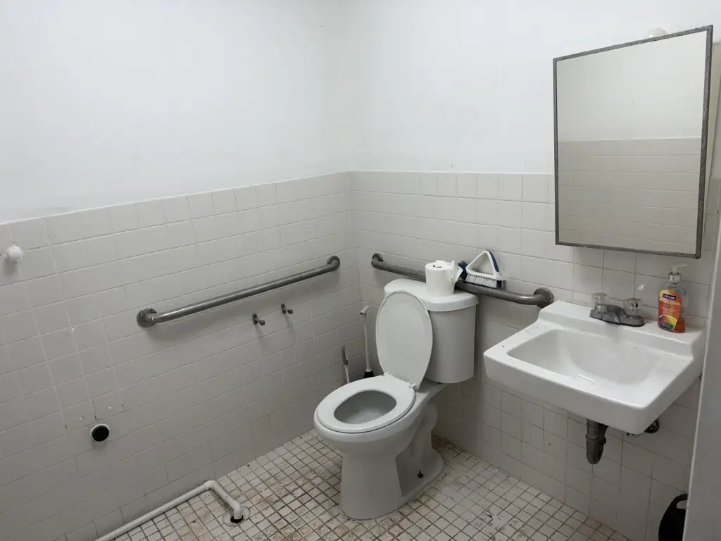 Picture 7