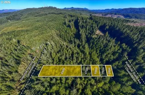 Wooded Land Parcel