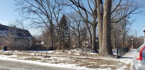 Residential Land in Chicago
