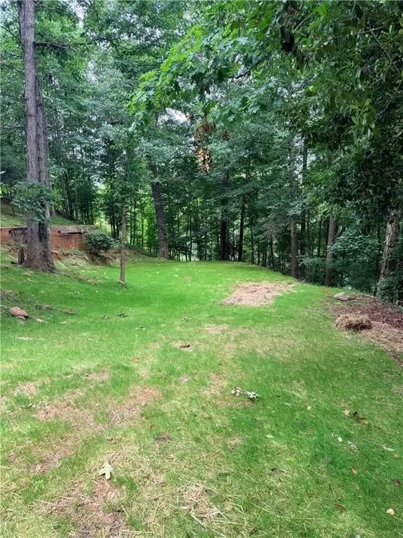 Picture 4