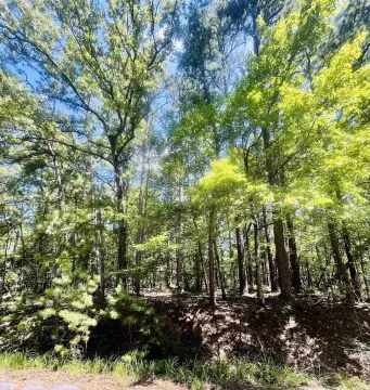 Residential Lot in Hot Springs