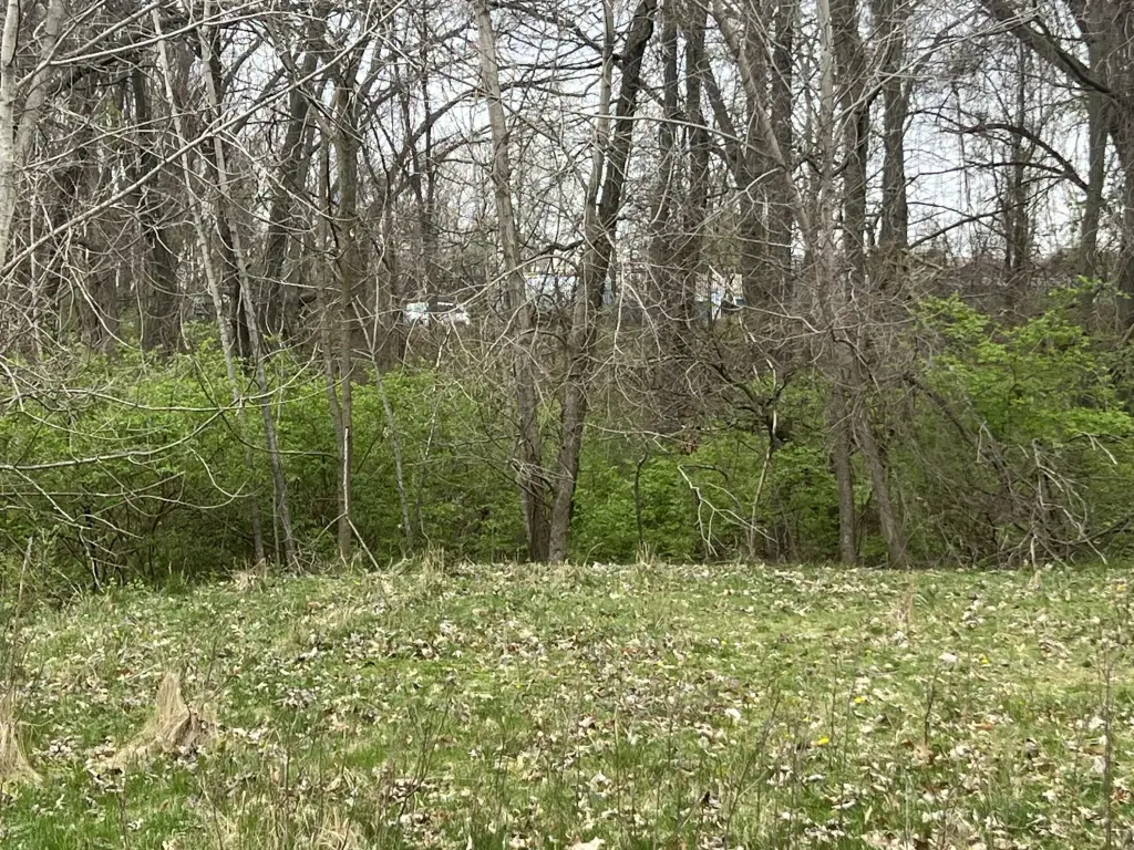 Picture 3
