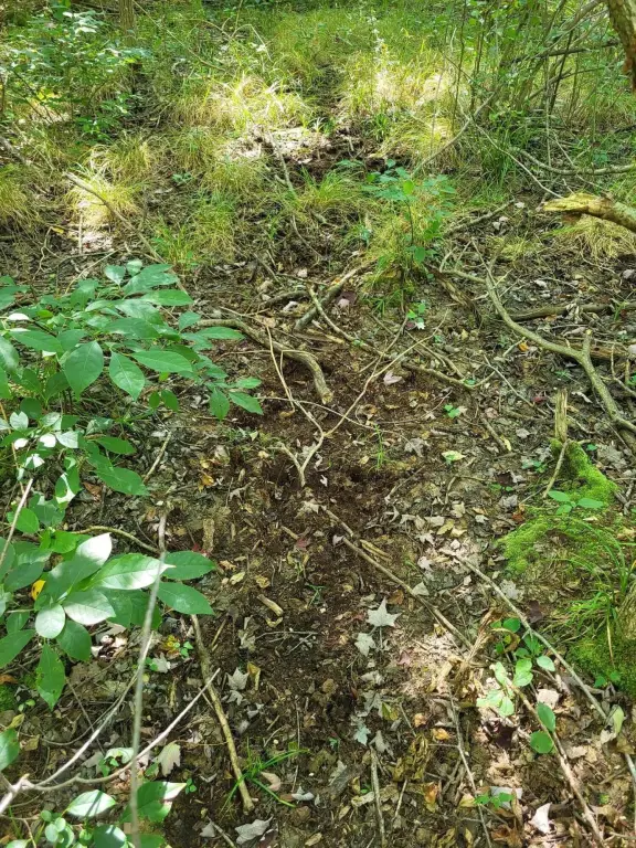 Picture 17