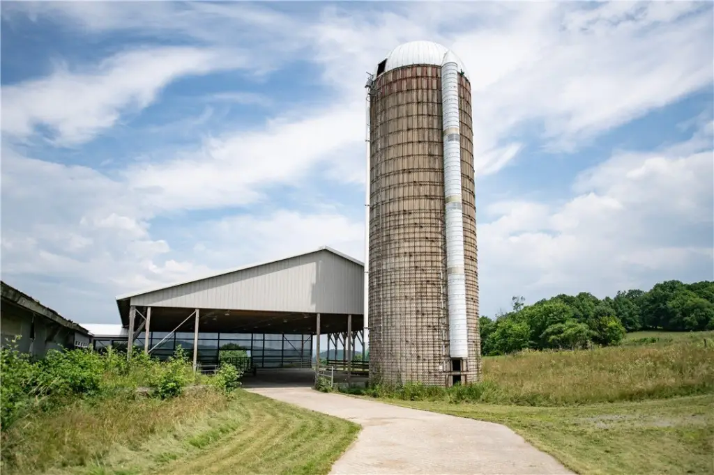 Picture 6
