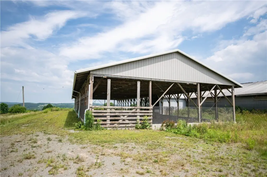 Picture 11