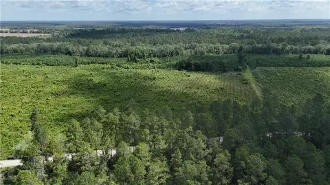62 Acres of Timber Investment
