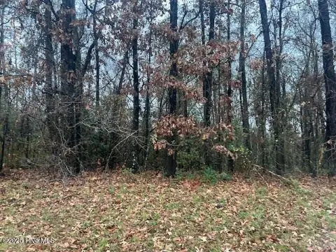 Land in Laurinburg, NC