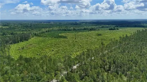 55 Acres of Versatile Land