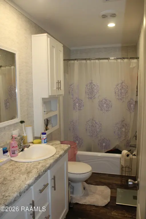 Picture 17