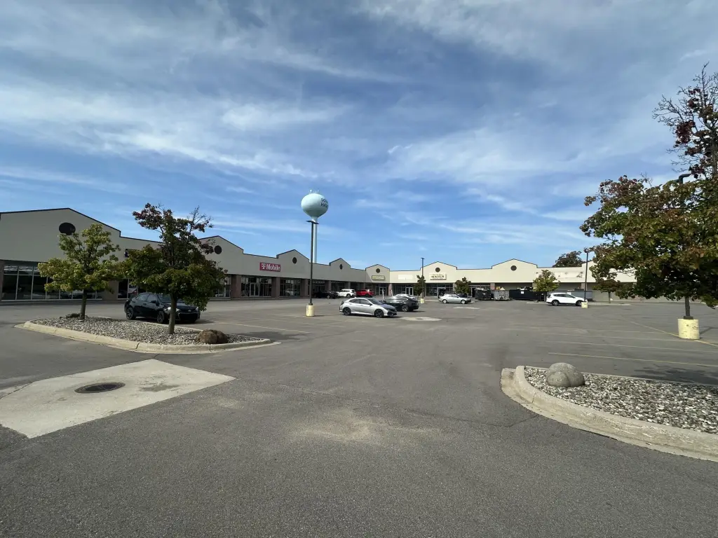 Picture 5