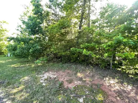 Hiawassee Vacant Lot in Gated Community