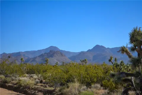 Vacant Land in Yucca, AZ