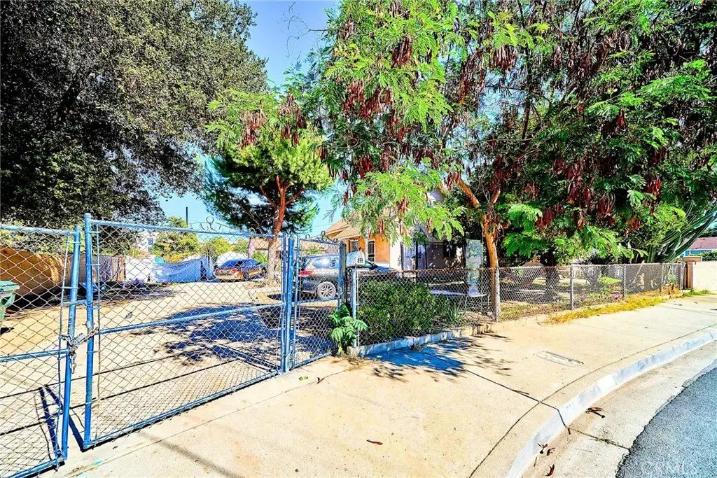Picture 25