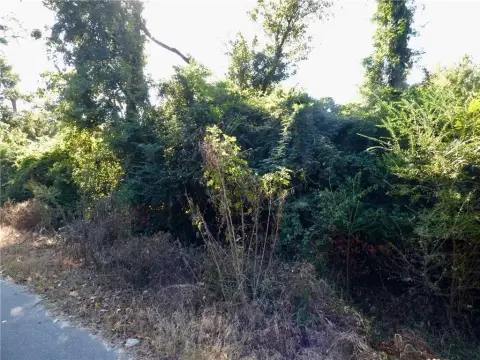 Wooded Lot in Phenix City