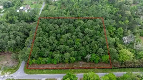 Gulfport Wooded Land Parcel