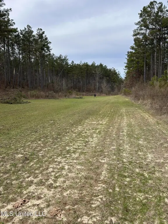 Picture 16