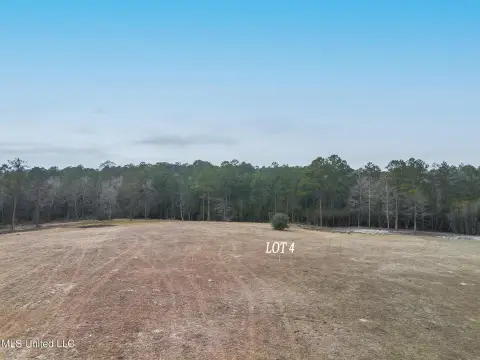 Spacious Homesite in McHenry, MS