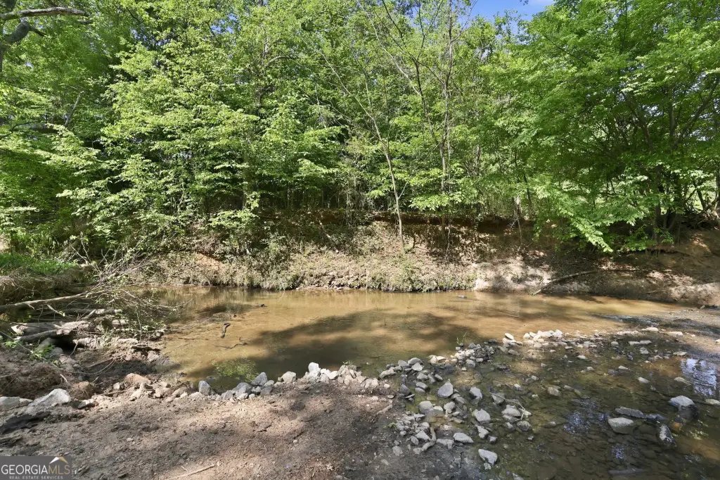 Picture 25