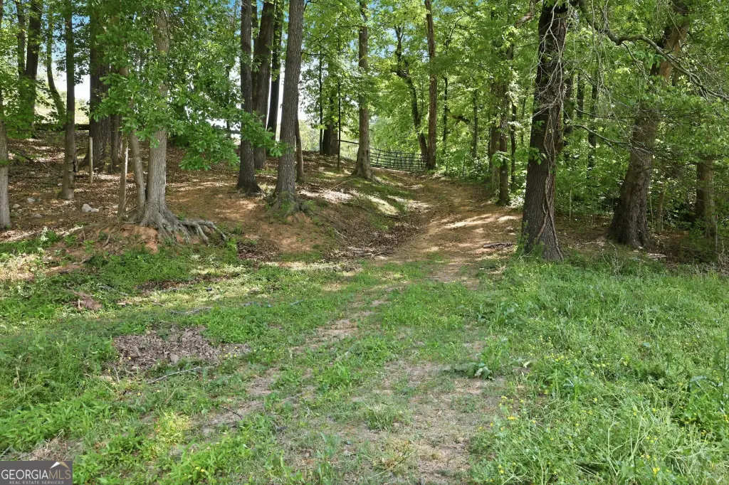 Picture 29