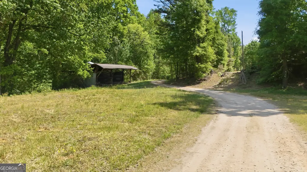 Picture 12