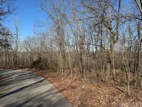 4.92 Acre Wooded Land Parcel