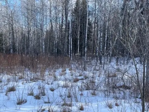 Laona, WI Residential Land