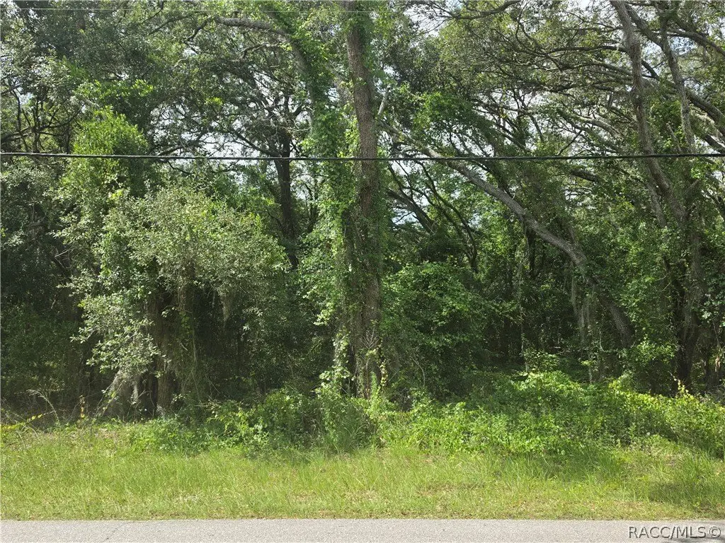 Picture 5