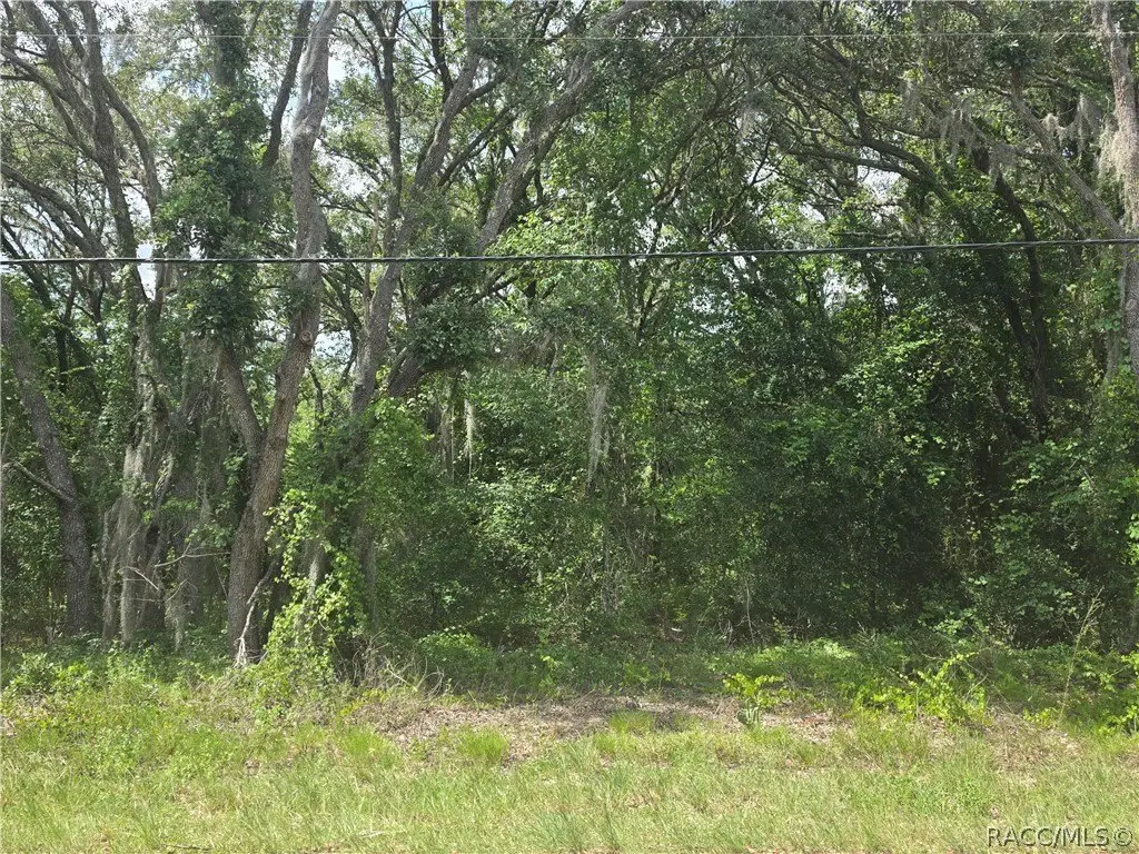 Picture 8