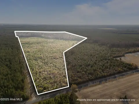 52 Acres of Timberland Investment