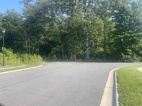 Conway Acreage on Blake Lane