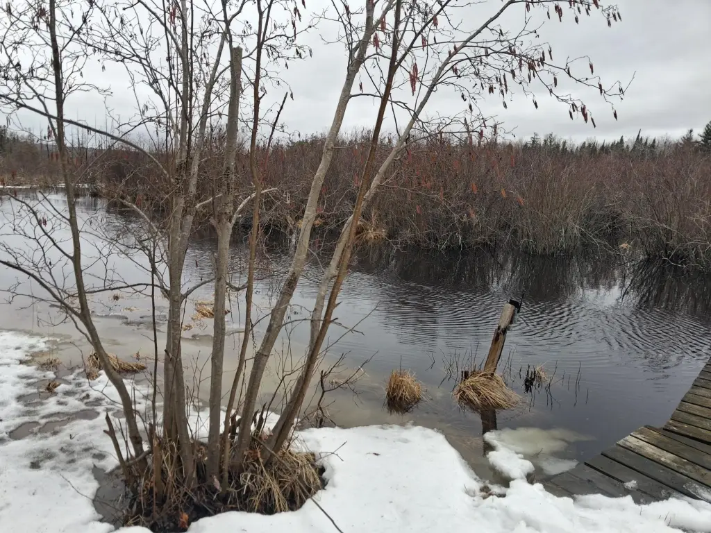 Picture 13