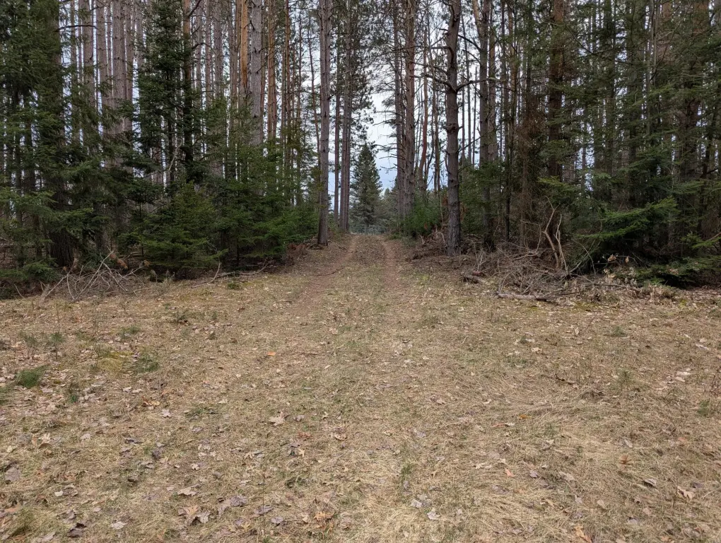 Picture 2