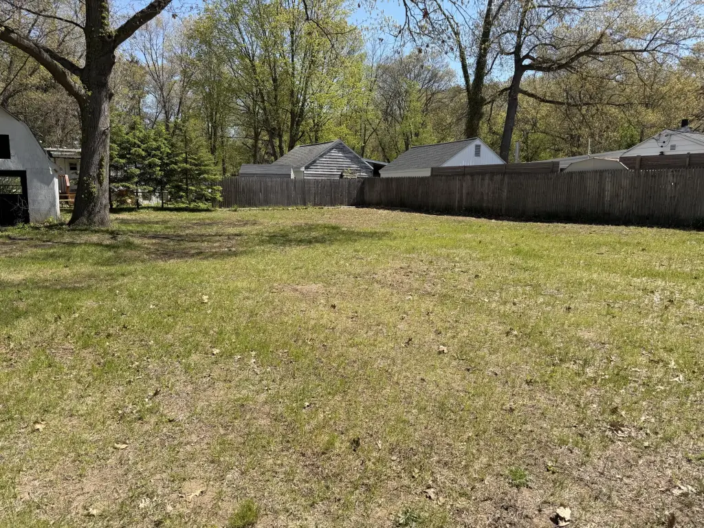 Picture 5