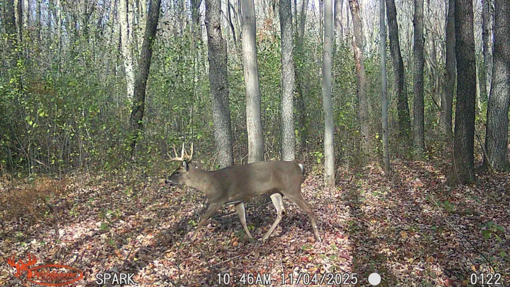 Picture 12