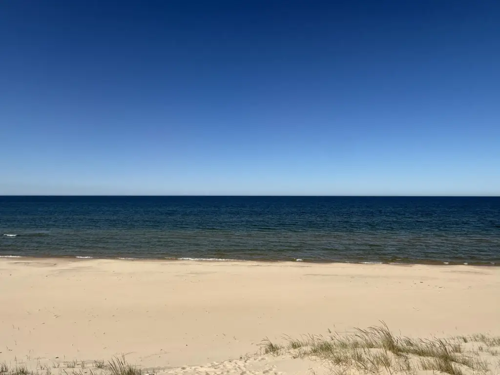 Picture 8
