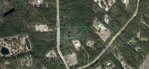 Townsend, GA Residential Lot