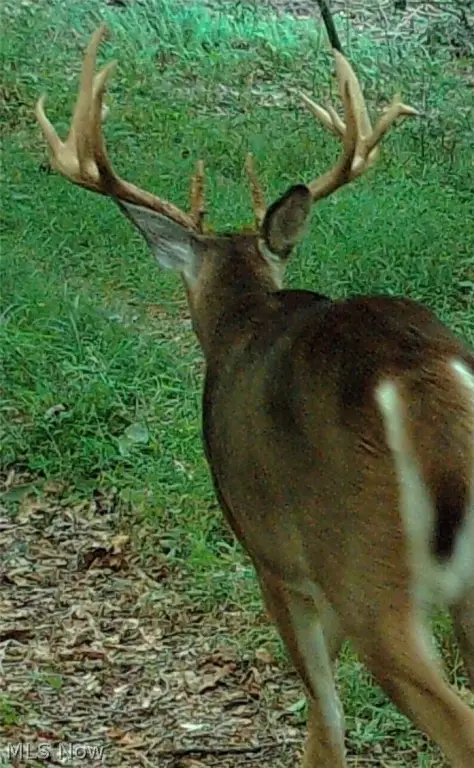 Picture 48