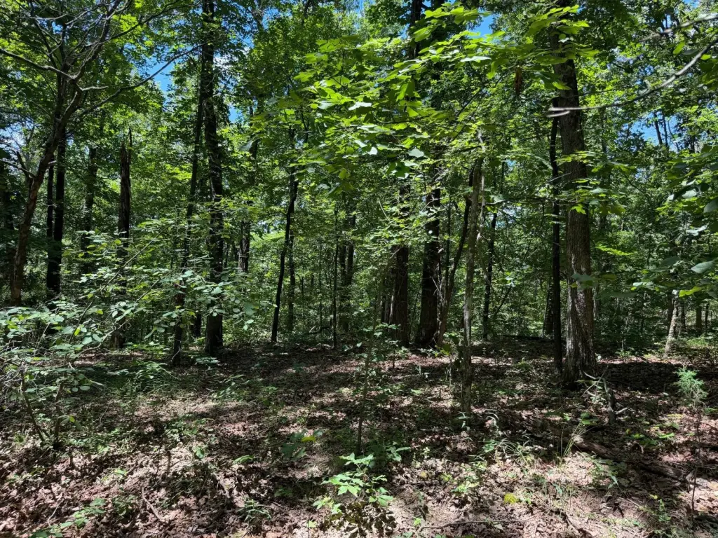 Picture 4