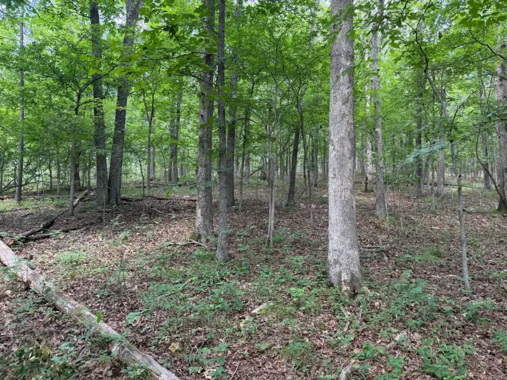 Picture 23