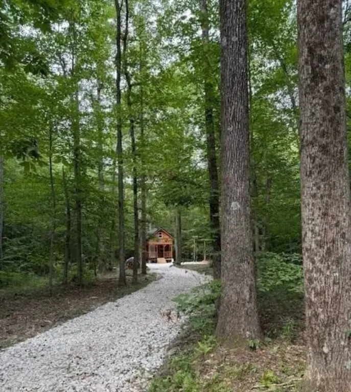 Picture 11