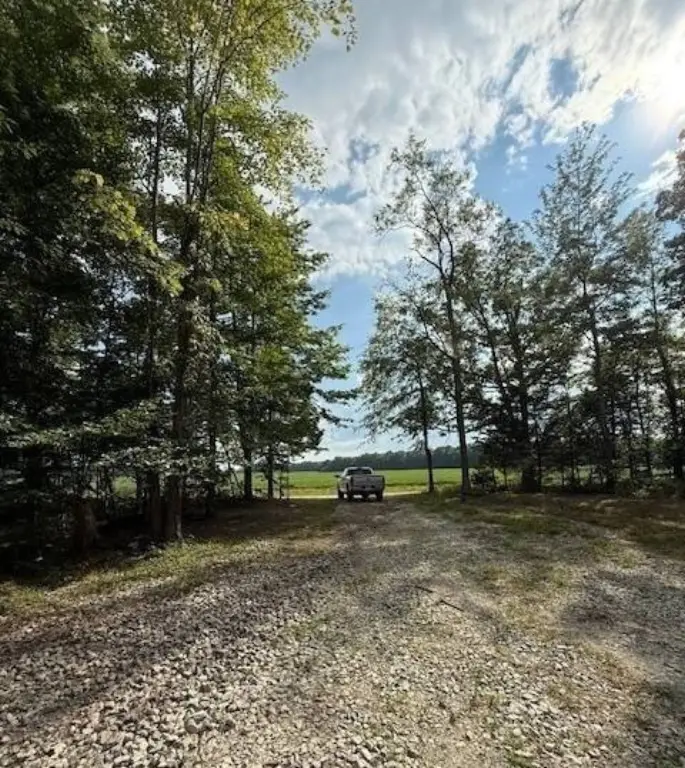 Picture 7