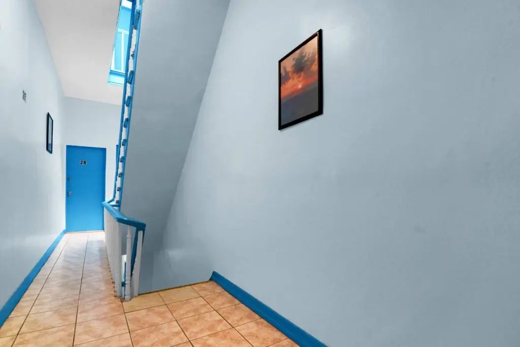 Picture 3