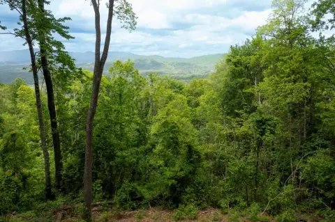 Murphy, NC Vacant View Lot