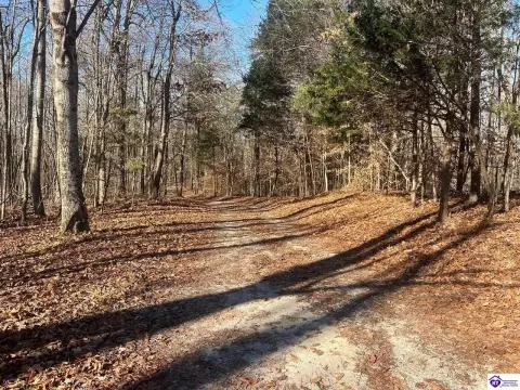 Land with Timber in Buffalo, KY