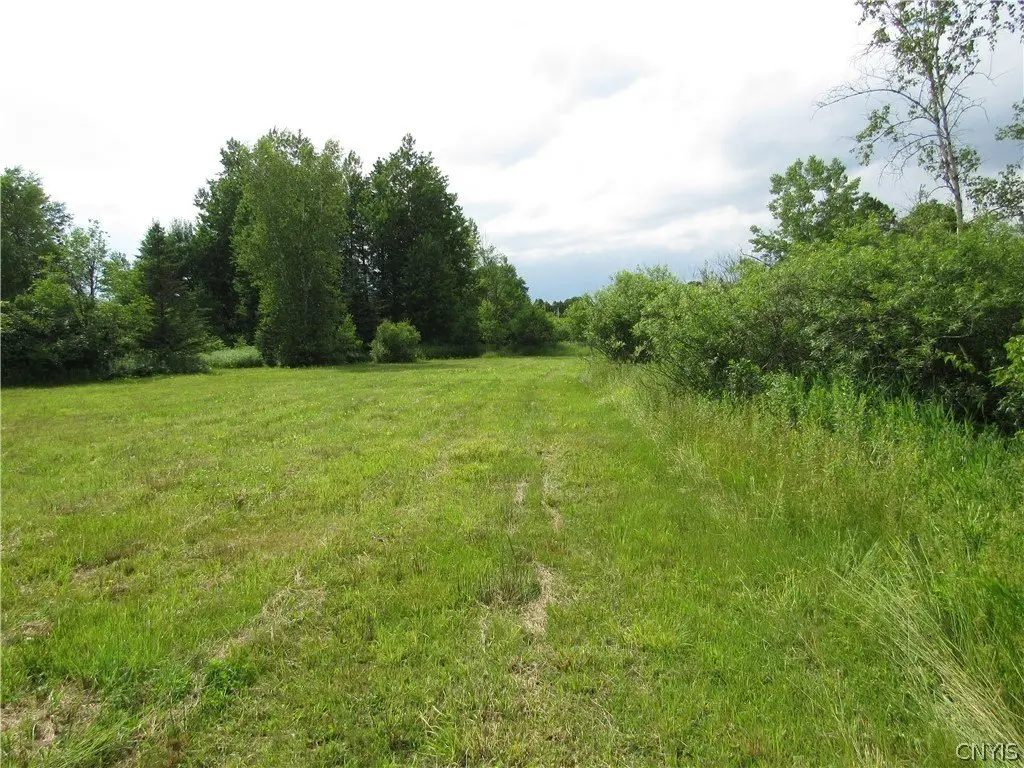 Picture 19