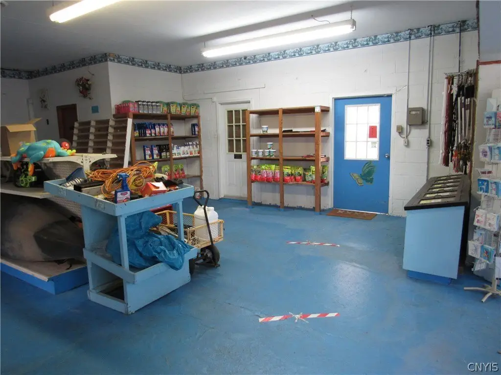 Picture 7