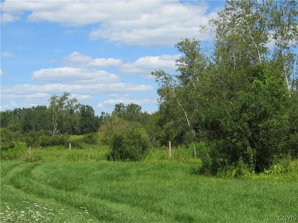 Picture 23